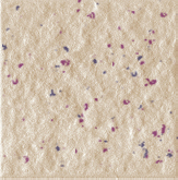 45*45mm彩码砖，纸皮砖，通体拌点，外墙专用，厂家供应 MK45023
