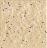 45*45mm彩码砖，纸皮砖，通体拌点，外墙专用，厂家供应 MK45022