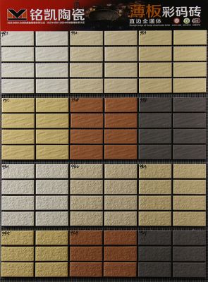 45*95mm全通体彩码砖，纸皮砖，外墙工程砖，福建厂家批发